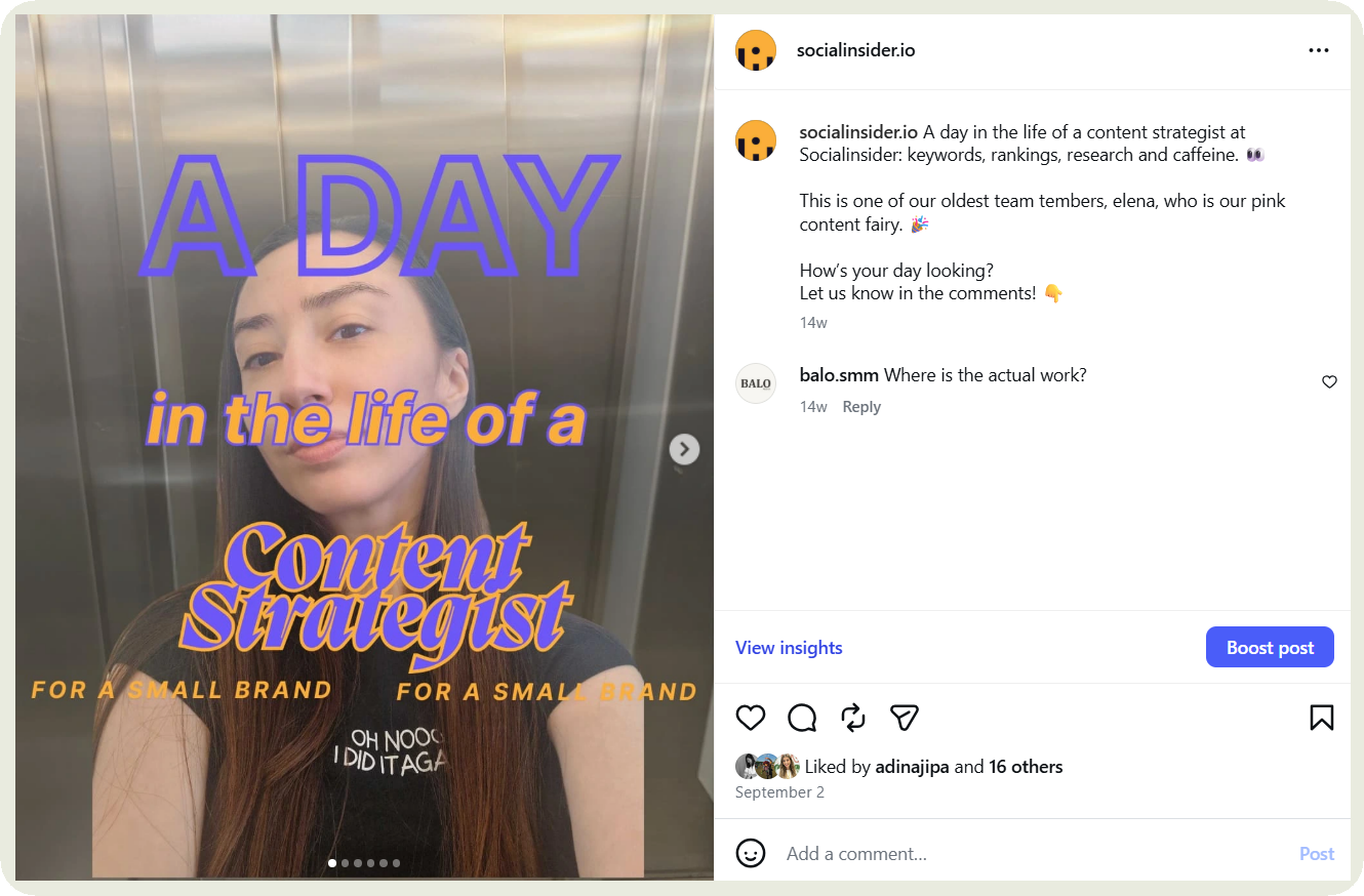 socialinsider post on instagram